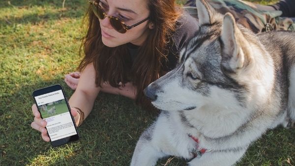 Dog owners shows her pet the Vloggi x Pupsy user-generated video campaign